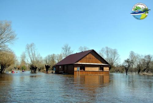 Powódź nad Bugiem 2013, rozlany bug, rozlewiska, roztopy, podtopienia, Sławatycze, Kodeń, Mościce