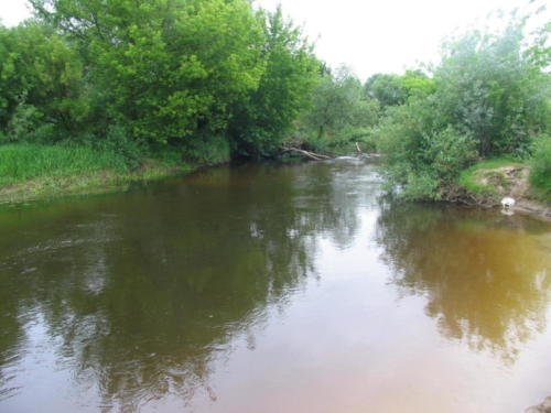 rzeka Leśna - Białoruś, prawy dopływ Bugu - spływy kajakowe Brześć, Spływ kajakowy po rzece Leśnej